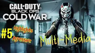Call Of Duty Cold War Hardcore slaughter Highlights 2021