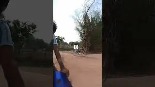 The Ultimate Public Reaction Experiment