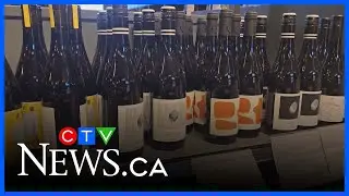 Quebec wine sales surge after SAQ shelves U.S. products