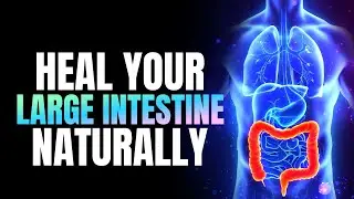 Make Your Descending Colon To Left Side | Heal Your Large Intestine Naturally | 741 Hz Detox Music