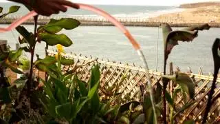 This is My HOME - LARACHE العرائش