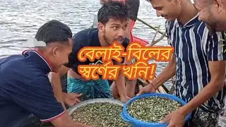 গাজীপুর বেলাই-বিলের প্রচুর মাছ ধরা পড়ল। #gazipur #fishing #fish #fishingvideo #গাজিপুর #villagelife