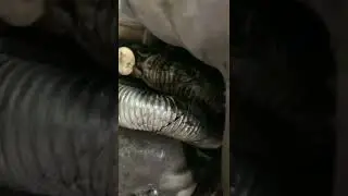 Bmw 28i turbo coolant lines need replaced 🤟🏿🔧