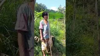 seorang ODGJ jalanan sekarang sudah bisa berkebun pisang