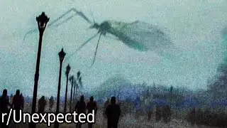 r/Unexpected | What the hell is that??