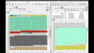 Design of Golden Gate Assembly Oligos