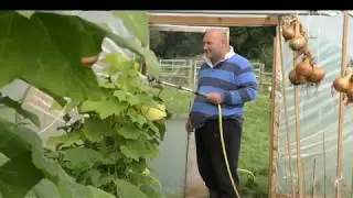 A Farmyard Teaching Adults With Learning Disabilities Valuable Skills
