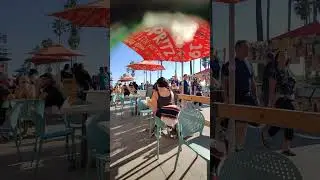 Venice beach bar