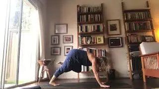Yoga Flow 2+, Breathe and Move with Warriors, Backbends, and Inversions