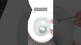 Astuce d&rsquo;h&ocirc;tel pour une toilette propre et parfum&eacute;e