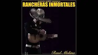 Raul Molina- Si No Te Hubieras Ido