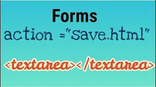 Textarea tag in HTML| HTML Action Attribute