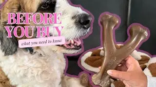 Benebone Wishbone Dog Bone Review | Flavored Bacon