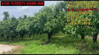 #1163 의성촌집TV 2차선인접 큰농원 우사 (허가난곳) 관리사 (거주가능) 퇴비사 창고 큰대추밭 2363평 (실사용2700평) 합3.7억 하천옆 면사무소인근 위치좋은 축사우사