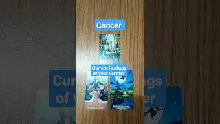Cancer l कर्क l Current Feelings of your Partner l #tarotreading #currentfeelings #hinditarotreading