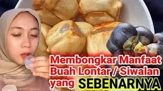 APA MANFAAT BUAH SIWALAN / LONTAR ❓ BERIKUT INI ULASANNYA