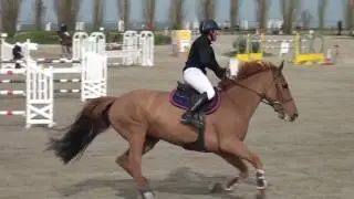 UZELLE D ARTHENAY Fay les etangs GP140
