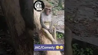 JAC/Comedy | Koli Bete | Chapli | JAC #JAC