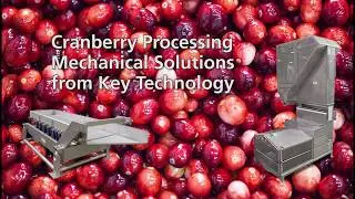 Cranberry Processing
