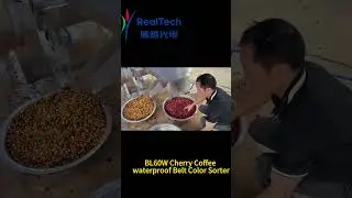 Cherry Coffee Waterproof Belt Type Color Sorter#machine #manufacturing #cherry coffee