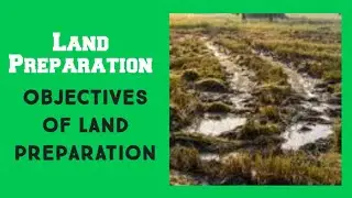 Objectives of land preparation in Agriculture #agriculture #landpreparation #field #education