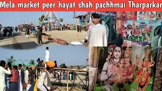 Mela Horse market Desert Village Life Pakistan || Traditional Village mela Desert peer hayat shah