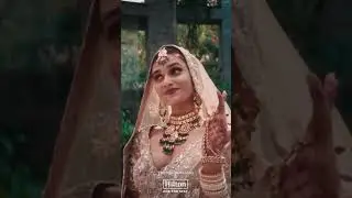 Wedding Diaries