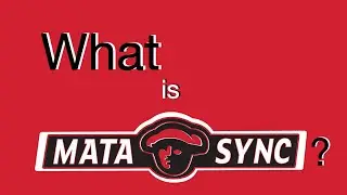 What is MataSync? - A Detailed Introduction