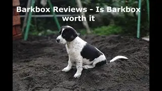 Barkbox Reviews - Is Barkbox Worth It