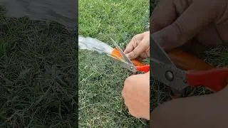 How to connect two hoses! #diy #tips