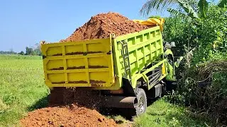 Truk Jomplang, Mobil TRUK HINO DUTRO Bongkar Muatan TANAH Timbunan FULL BAK Menggunung DILOKASI BARU