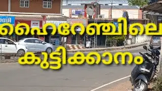 കുട്ടിക്കാനം #travel #nature 