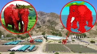 Khu Vườn B&iacute; Mật 