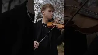 Pink - try - zotov violin