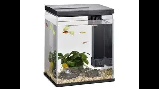 Настольный мини аквариум на 7 литров   AQUA TECH CUBE A5 ultra clear glass, черный Обзор + мнение
