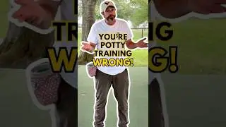 Potty Training: The #1 Mistake Dog Owners Make and How to Fix It