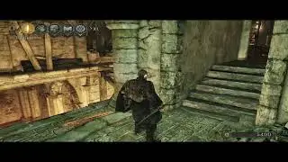 dark souls 2 (Fire Lizard farm)