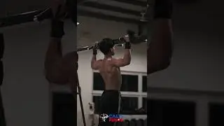 CalisPinas: Chest to Bar Pull-Ups