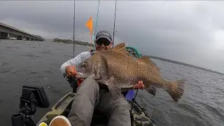 Back in Action With Black Drum | Kayak Fishing Choctawhatchee Bay