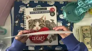 💙🐈 Caturday Savings 🐈💙 #caturday #caturdaysavings #savingschallenges 