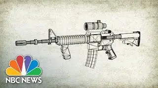 Once Banned, These Assault Rifles Are Hugely Popular In The U.S. | NBC News