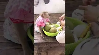 Sweet Jaila Can&rsquo;t Wait for Her Yummy Fruit 🍈🐵💖