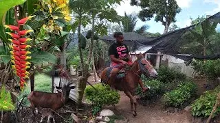 Gente humilde campo hermoso en palmar grande altamira, La vida del campo.