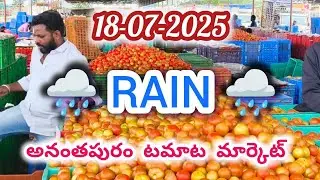18-07-2025 Anantapur tomato market/Today tomato price/Today Anantapur Tomato market rates/