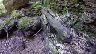 Bottom of Gunners Pool | Exploration | 9th June 2016