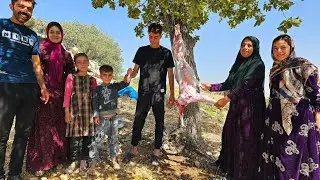 Nomadic customs and traditions of offerings for Eid al-Adha 🐑