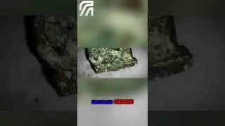 Unveiling the Secrets of the Ancient Machine