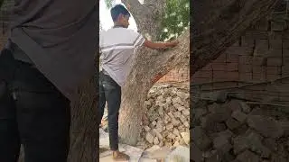 #wildlover🥰@