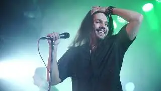 STEEL - BARF 14