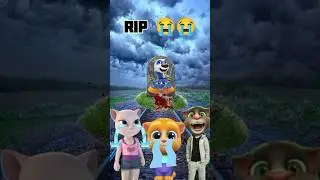 talking tom and cat.... 😭😭😭#cat #tom #hero